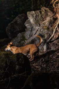 BIB: 
                            <button type="button" onclick="openModal(22163087)" class="btn btn-primary btn-sm float-right btn-popup" data-toggle="modal" data-target=".modal-high-quality">
                        <i class="fas fa-shopping-cart"></i> Add to Cart
                    </button>
                                            <button type="button" onclick="isThisMe(22163087, true)" class="btn btn-success btn-sm float-right btn-popup btn-isme hidden" data-toggle="tooltip" data-placement="bottom" title="นี่คือรูปของคุณใช่ไหม คลิกที่นี่เพื่อเอาเข้าอัลบั้ม">
                        <i class="fas fa-plus"></i> Add to album
                    </button>
                    <button type="button" onclick="isThisMe(22163087, false)" class="btn btn-warning btn-sm float-right btn-popup btn-isnotme hidden">
                        <i class="fas fa-ban"></i> Remove from album
                    </button>